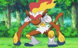 Hoofdafbeelding bij Vang Infernape in Tera Raid-event Pokémon Scarlet & Violet