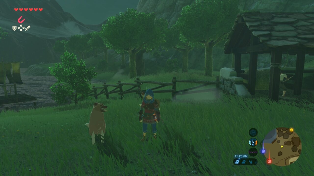 Breath of the Wild Switch 2 edition screenshot met hond