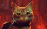 Stray is nu beschikbaar op Nintendo Switch 2
